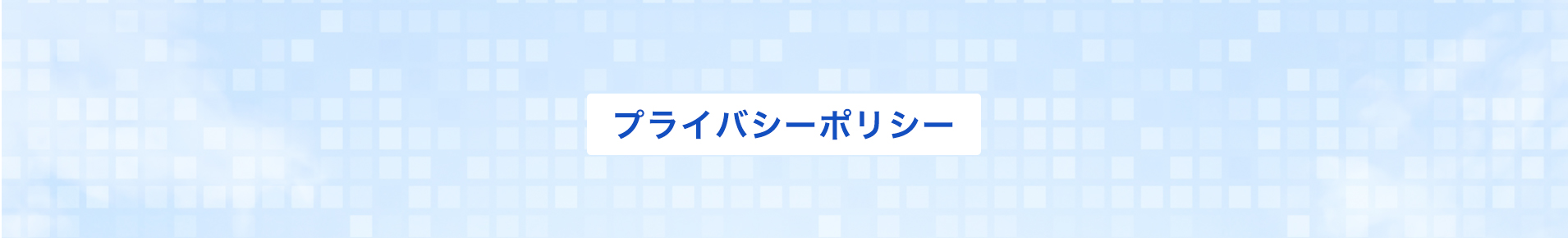 プライバシーポリシー